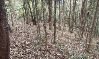 Imagem 7: Chácara 1000m2 oportunidade