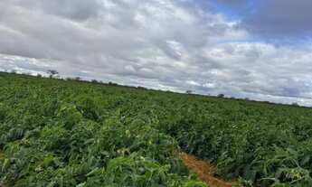 Imagem 4: Fazenda em Varzea Nova
