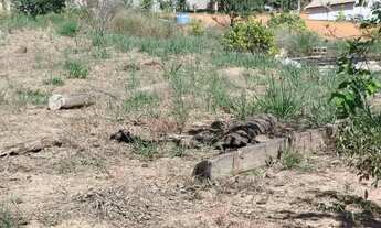 Imagem 6: Chácara em piedade