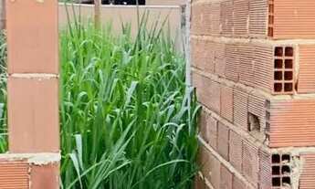 Imagem 7: Vendo terreno em Campo Grande ( centro ) condomínio fechado