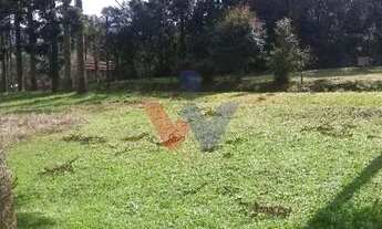 Imagem 4: Terreno à Venda com Mina dÁgua e Potencial de Construção, Oportunidade Única