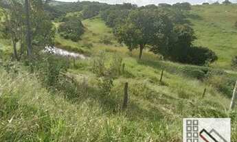 Imagem 6: FAZENDA (170 hectares), CASA SEDE EXCELENTE. COMPLETA INFRAESTRUTURA PARA OPERAÇÃO E PRODU