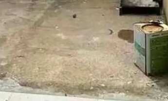 Imagem 7: Casa à Venda em Águas Lindas (RE