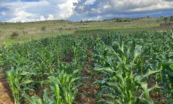 Imagem: CHÁCARA SETOR AGUILHADA SÃO SEBASTIÃO