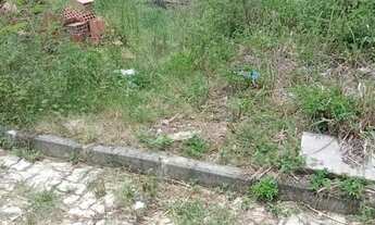 Imagem 7: Terreno em estrada da convanca