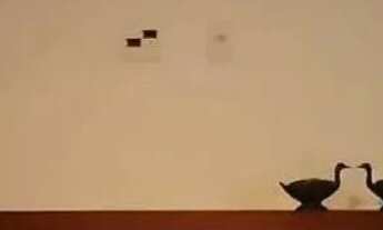 Imagem 5: EXCELENTE CASA A VENDA COM VISTA PANORÂMICA