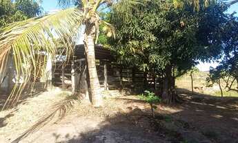 Imagem 6: Sítio à Venda na Área Rural de Moita Bonita/SE