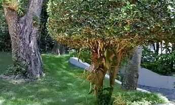 Imagem 3: Casa dentro de Condomínio à venda na Ferradura