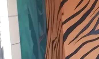 Imagem 3: Salão para aluguel com 45m² em Campinas