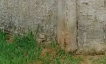 Imagem: Vende um lote n condomínio mansões entre