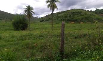 Imagem 5: Vendo sítio Fazenda / sítio com venda por R$600.000