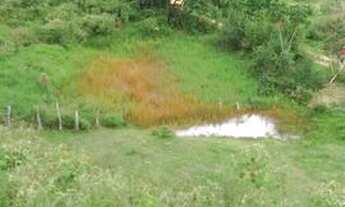 Imagem 5: Linda fazenda no Vale do Mucuri