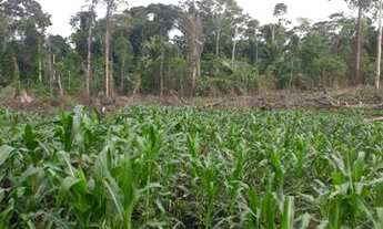 Imagem 7: Terra, sítio,Colônia