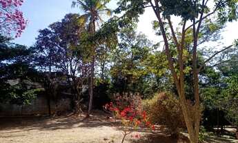 Imagem 7: Apto. 2 qtos - B. Frei Leopoldo - R$ 159 mil financiado - Cód. 1419