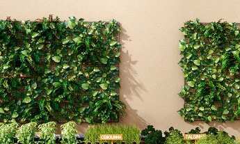 Imagem 5: Lançamento do Orizzonte Mantiqueira