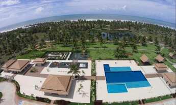 Imagem: Lote no Thai