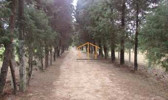 Imagem 2: Sítio à venda, 183920 m² por R$ 3.500.000,00 - Caiacatinga - Itu/SP