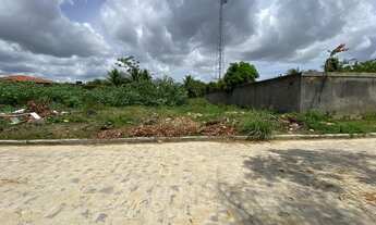 Imagem: Terreno na Barra de São Miguel/AL