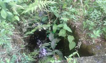 Imagem: Sítio à venda, 43588 m² por R$ 480.000,00