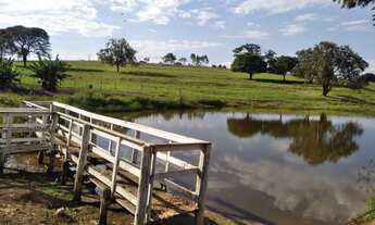 Imagem 6: Oportunidade Vendo Sítio com Área de 15.7 alqueires na região de Bauru