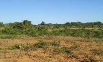 Imagem 6: Fazenda purissima