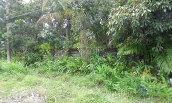 Imagem 4: Terreno Praia do Ytaguare Bertioga