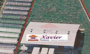 Imagem: Galpão para alugar com câmera fria - Rodovia