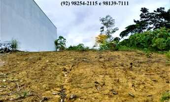 Imagem 2: Vende/Lote/Terreno/350m²/Condomínio Residencial Morada das Pássaros/Ponta Negra - Manaus
