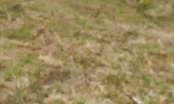 Imagem: Fazenda/Sítio/Chácara para venda com 7000