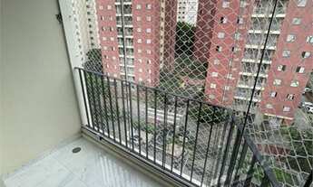 Imagem 3: São Paulo - Apartamento Padrão - Vila Ivone