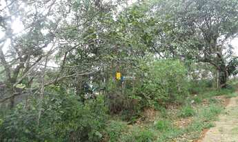 Imagem 3: Parque das Artes 1.000 m2 c/ fundos p/ APP. Oportunidade !!!