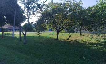 Imagem 6: Sítio com 6 dormitórios à venda, 22400 m² por R$ 1.600.000,00 - Jardim Costão - Santa Bran