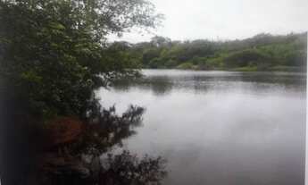 Imagem 2: Fazenda em são Paulo do Potengi com 290 hectares