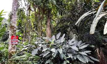 Imagem 2: Ubatuba, Praia do Félix, Terreno de 1.000m2, com licenciamento finalizando e com projeto p