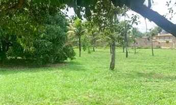 Imagem 5: Vendo 3 há proximo a Praia - raposa