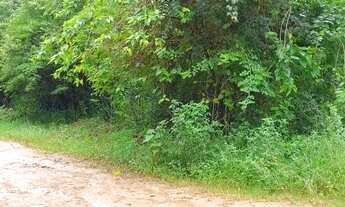 Imagem 3: Terreno em Itaiacoca