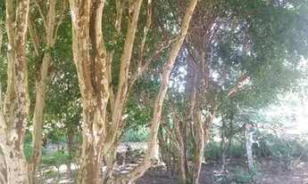 Imagem 4: SD. Parcele entrada em 5 x e pague confortavelmente terreno de 100m2 em Mairinque