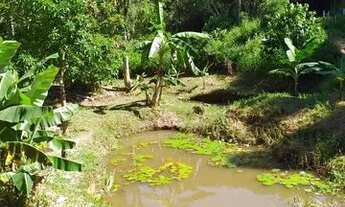 Imagem 6: Sítio com casa em Miracatu