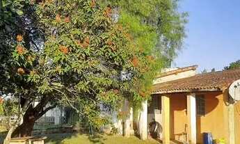 Imagem 2: Excelente chácara a venda em Sarapuí - 12.100m2