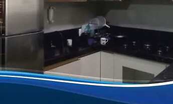 Imagem 5: Alugo apartamento 2 quartos Vicente Pires