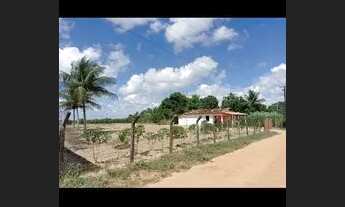 Imagem 4: SÍTIO COM CASA Chácara com venda por R$140.000