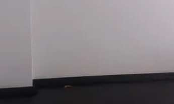 Imagem 5: Ponto comercial - Cornélio Procópio