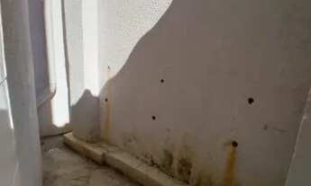 Imagem 7: Casa 2 quartos Novo Centro