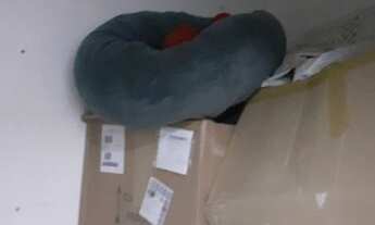 Imagem 2: São Paulo - Apartamento Padrão - Jardim Avelino