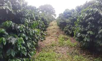 Imagem 6: Vendo terras próximo a Palmeiral contendo 3 hectares . Direto com proprietário