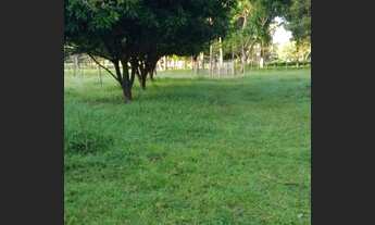 Imagem 4: Sítio 20 ha - Excelente Oportunidade - Porteira Fechada com Escritura e Registro de Imóvel