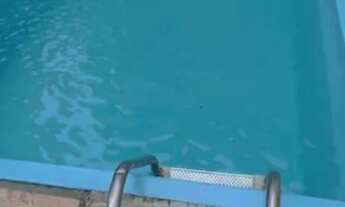 Imagem 2: Casa com piscina na Estrada da Cachamorra