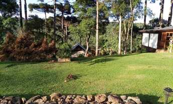 Imagem 5: Sítio na Linha Ávila em Gramado!