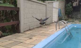 Imagem 3: Linda casa com vista para o mar com piscina área gurmer churrasqueira fogão a lenha