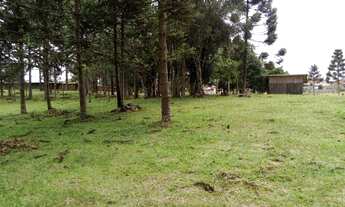 Imagem 5: Vendo ou troco Terreno / lote com venda por R$165.000